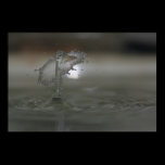 waterdrop3 Poster
