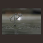 waterdrop3 posters