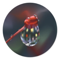 Waterdrop On Bud stickers by Lidusik Waterdrop On Bud stickers