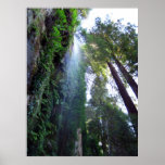 Waterfall and Cliff Print