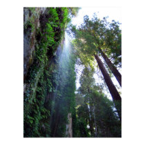 Waterfall and Cliff posters