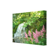 Waterfall and Pink Astilbe wrappedcanvas