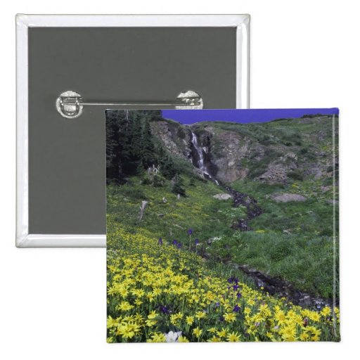 Waterfall and wildflowers in alpine meadow,