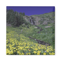Waterfall and wildflowers in alpine meadow, 3 refrigerator magnet