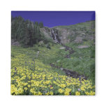 Waterfall and wildflowers in alpine meadow, 3 refrigerator magnet