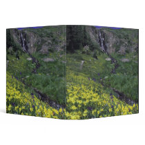 Waterfall and wildflowers in alpine meadow, vinyl binder