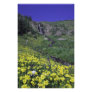 Waterfall and wildflowers in alpine meadow,