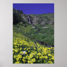 Waterfall and wildflowers in alpine meadow, print