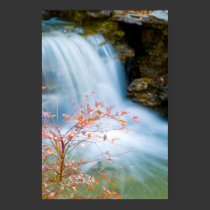 Waterfall at Lingnan Garden posters