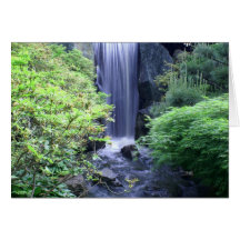 Waterfall at Missouri Botanical Garden Card