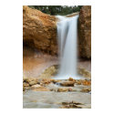 Waterfall At Mossy Cave posters