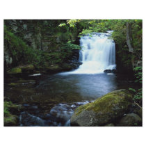 Waterfall at Watersmeet, North Devon, England Flyer