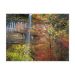 Acer Negundo | zion canyon waterfalls, motion, vibrant, untamed, zion canyon waterfalls, motion, vibrant, untamed,