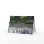 Waterfall  greeting cards