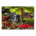 Waterfall cards