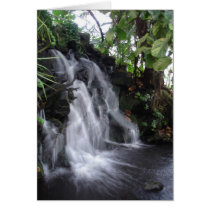 Waterfall cards