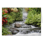 Waterfall Greeting Cards