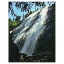 Waterfall From Beneath Large Tree Flyer