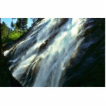 Waterfall From Beneath Large Tree Acrylic Cut Out