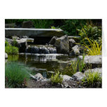 Waterfall Garden Nature Photograph Greeting Cards