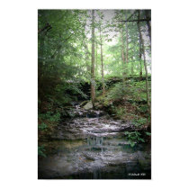 Waterfall Garden posters