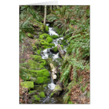 Waterfall Greeting Cards