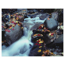 Waterfall in autumn, near Capelton, Estrie, Quebec Custom Flyer