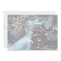 Waterfall in autumn, near Capelton, Estrie, Quebec Personalized Invite