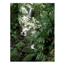 Waterfall In Dominica Postcard