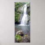 Waterfall in New Zealand posters