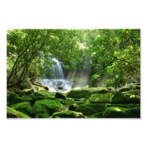 Waterfall in Rain Forest Photo Art
