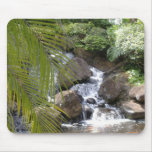 ahi-fan, waterfalls, palms, hawaii, marriott,