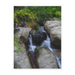 Waterfall in the park postcard