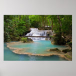Waterfall in Tropical Forest Posters
