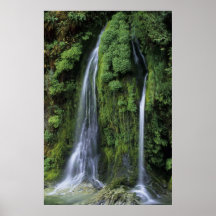 Waterfall - Oakridge, OR Poster