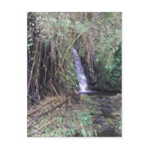 Waterfall on Akaka Falls trail postcards