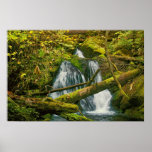 Waterfall on Sunshine Mine Trail Posters