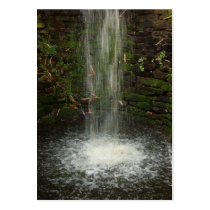 Waterfall Over Mossy Stones Business Card