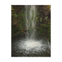 Waterfall Over Mossy Stones Postcard