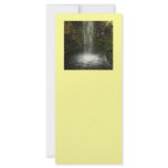 Waterfall Over Mossy Stones Rack Card Design
