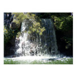 tacoma, washington, point, defiance, park,