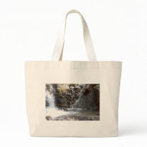 Waterfall Pond Lake Quinalt WA Olympic Rain Forest bags