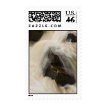 Waterfall Postage