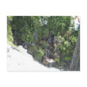 Waterfall. postcards