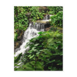 Waterfall Postcard