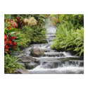 Waterfall posters