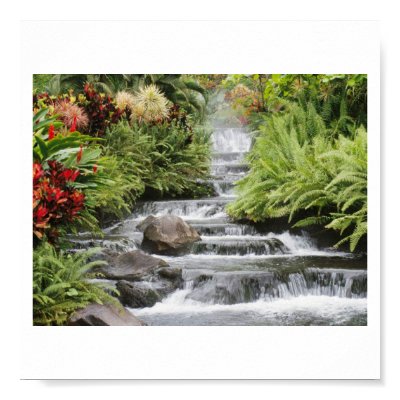 Waterfall Print by burns7707