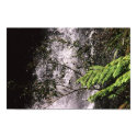 Waterfall posters
