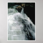 Waterfall Poster & Wildlife Conservation Poem
