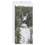 Waterfall Rack Card Template
